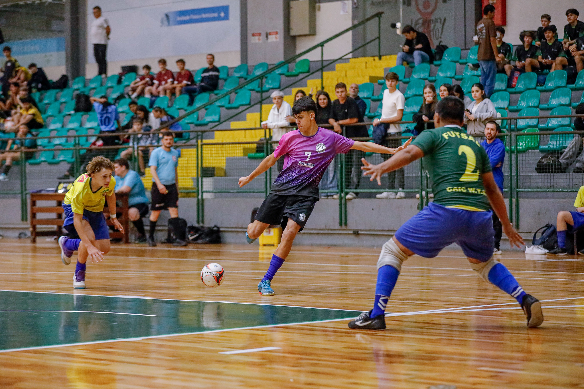 Galeria Imagem 3
