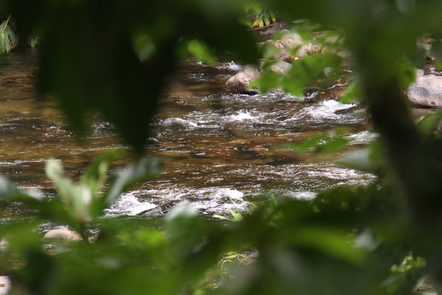 Novo Roteiro de Natureza atrai olhares para a região da Nova Rússia 