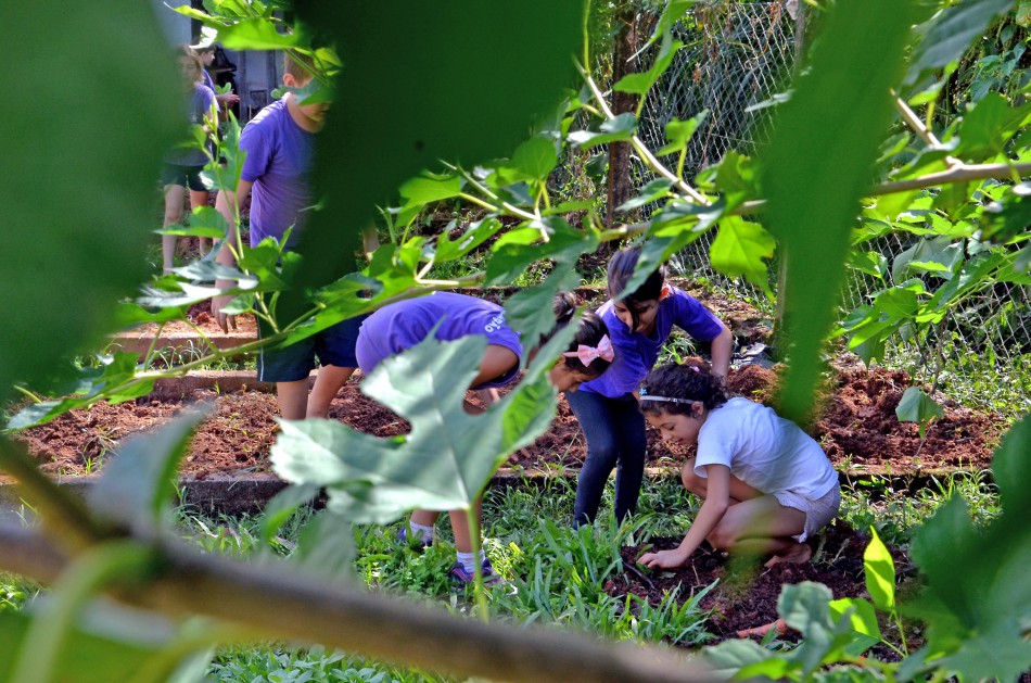 Blumenau é destaque nacional com trabalho de agroecologia