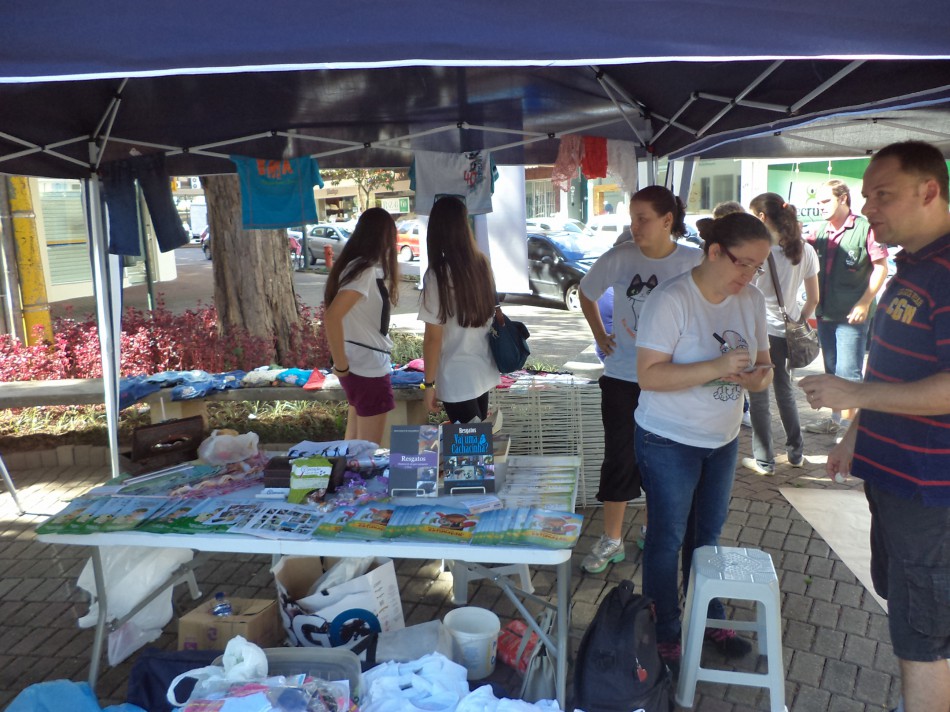 Sábado Animal no Coração de Blumenau se consolida no município