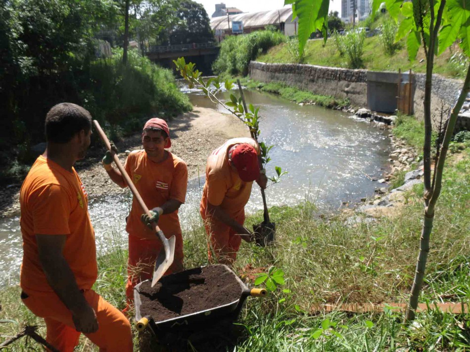 Faema planta árvores nativas nas margens do Ribeirão da Velha