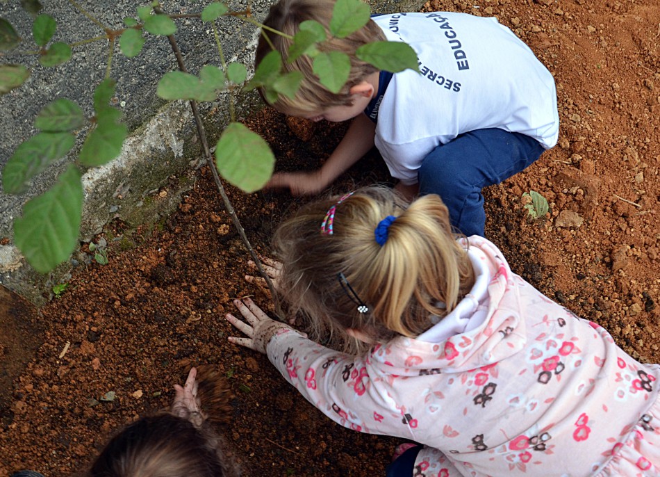 Escola desperta consciência ambiental dos alunos com plantio de mudas