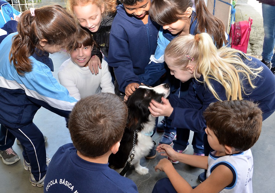 EBM Anita Garibaldi recebe o cãozinho Sheep