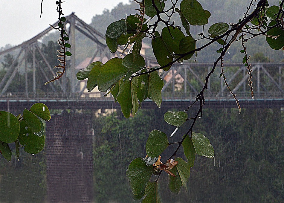 Defesa Civil de Blumenau alerta para volume expressivo de chuva entre quarta e sexta-feira