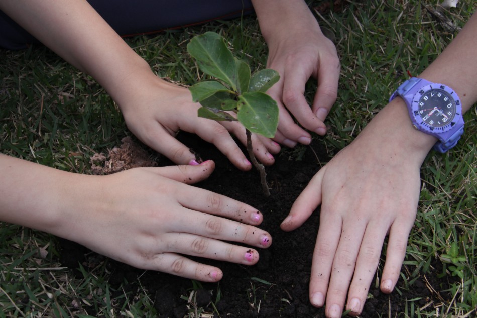 Faema promove plantio de árvores em escolas de Blumenau
