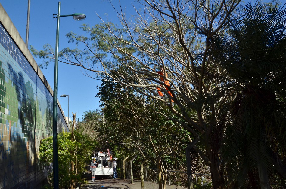 Parque Municipal Foz do Ribeirão Garcia ganha nova iluminação 