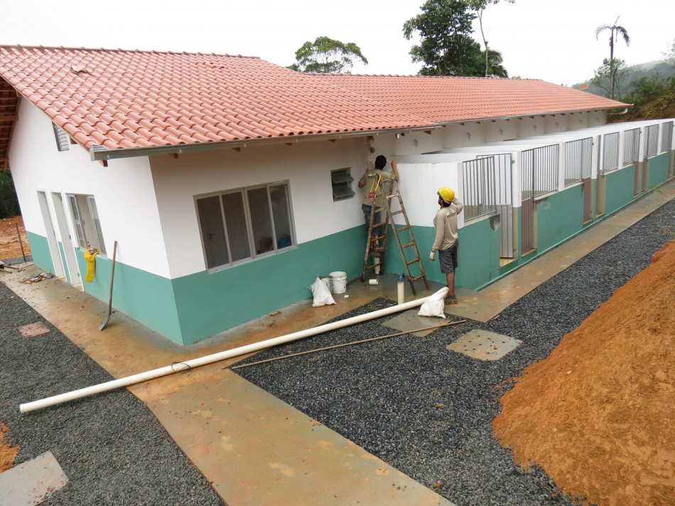Centro de Prevenção e Recuperação de Animais Domésticos em fase final