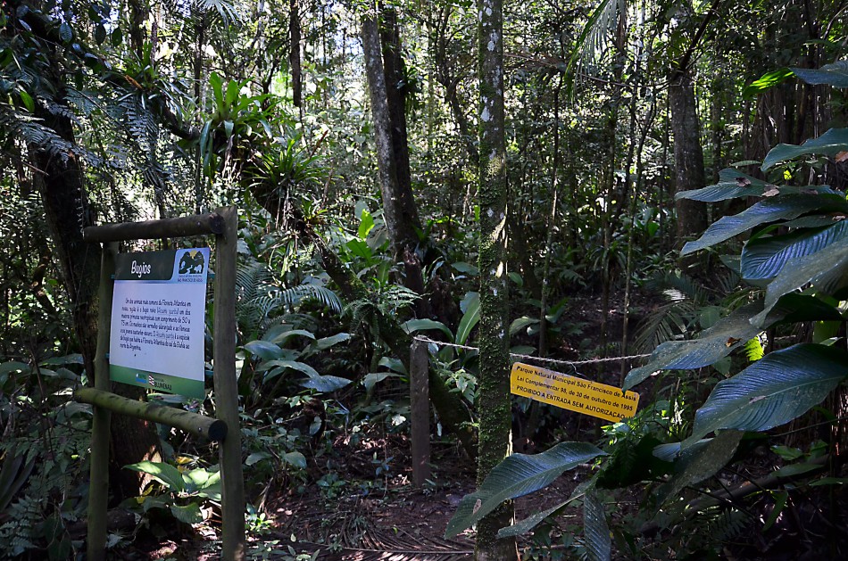 Acesso ao Parque São Francisco de Assis é interditado temporariamente