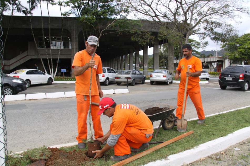 Rodoviária de Blumenau recebe plantio de árvores nativas