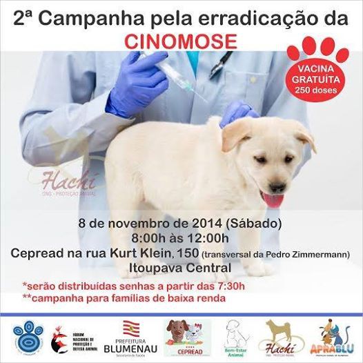 Neste sábado tem vacinação gratuita contra cinomose