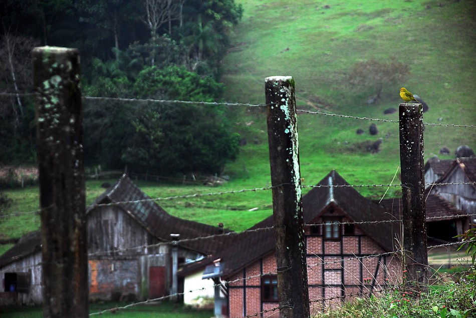 Prefeitura é transferida simbolicamente para a Vila Itoupava