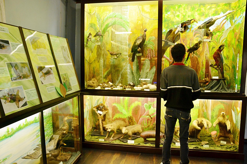 Museu Fritz Müller tem horário especial de fim de ano