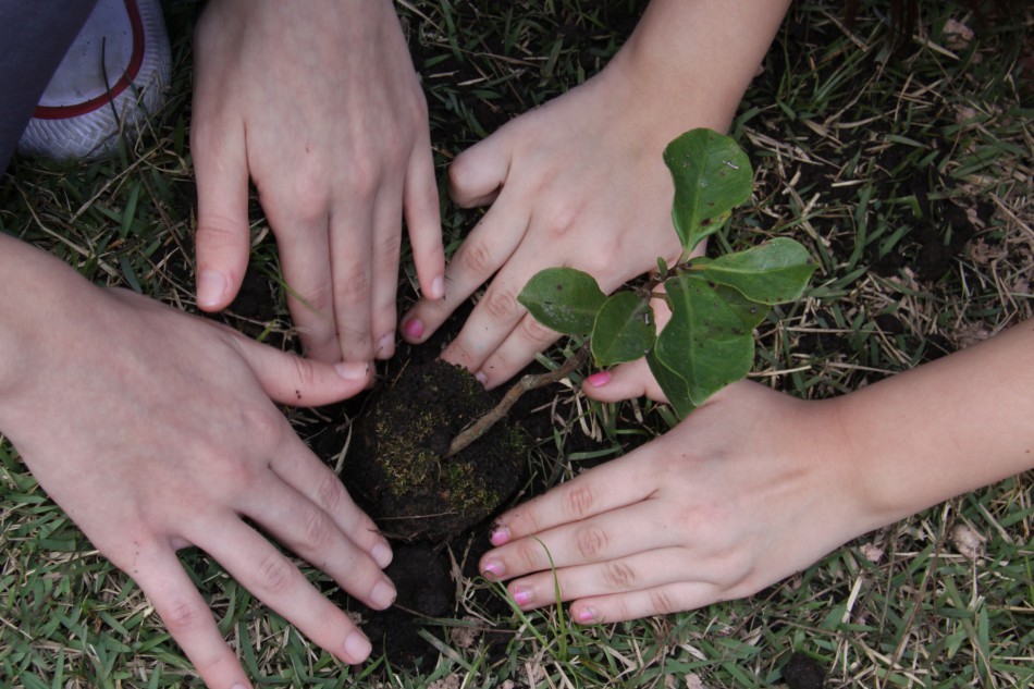 Cidade será arborizada com o plantio de duas mil mudas