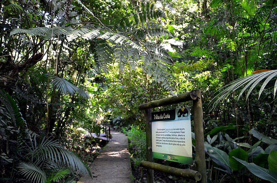 Parque São Francisco de Assis é opção de lazer em Blumenau