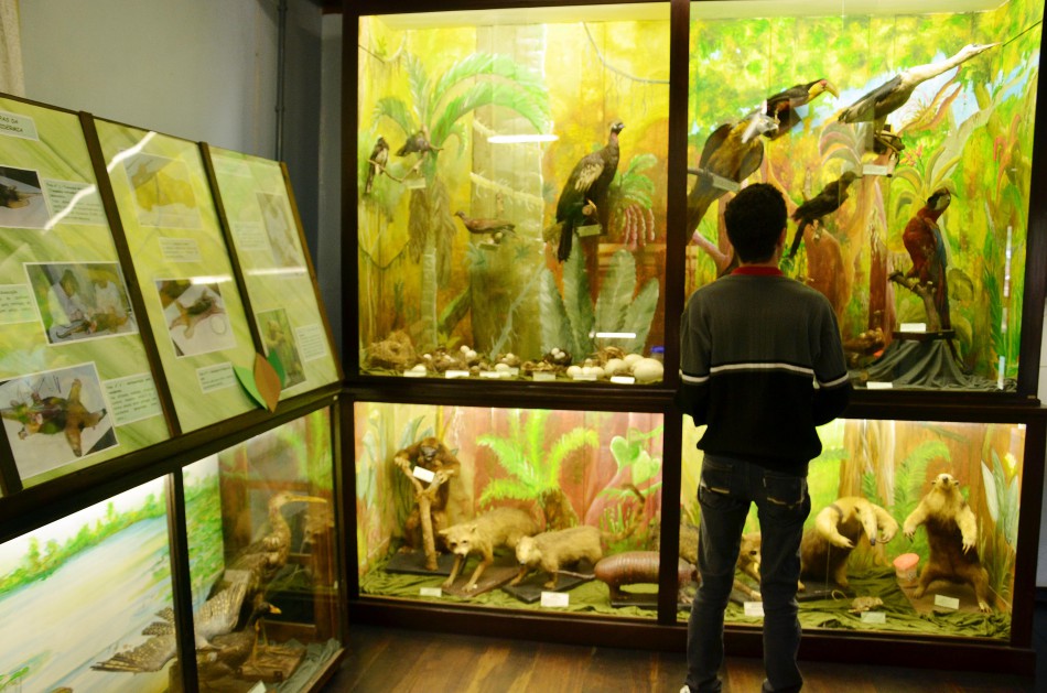 Museu Fritz Müller recebe a visita de estudantes