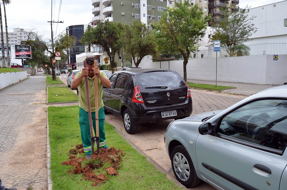 Faema inicia o plantio de mudas na cidade nesta quinta-feira