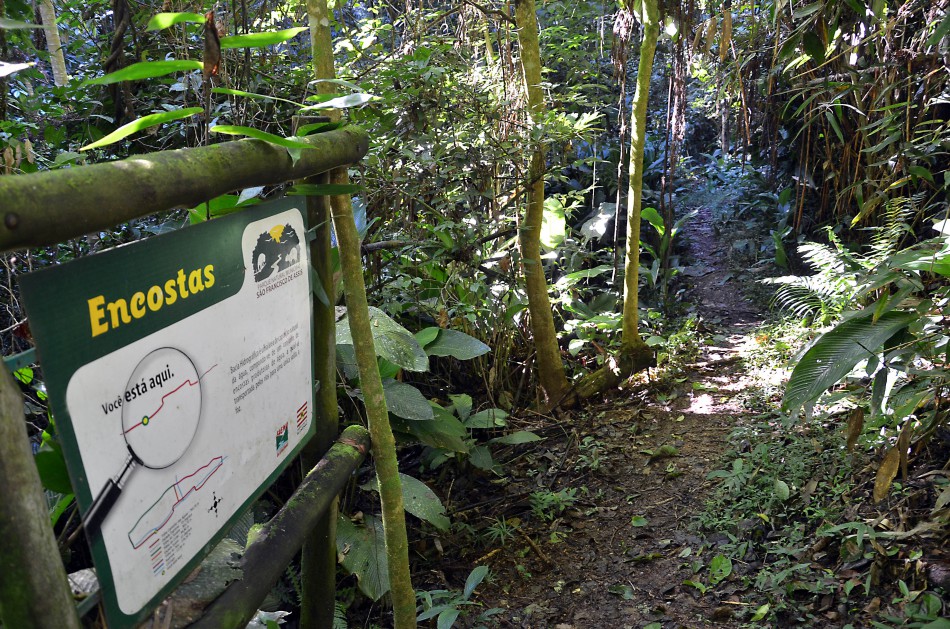 Parque São Francisco de Assis é reaberto ao público