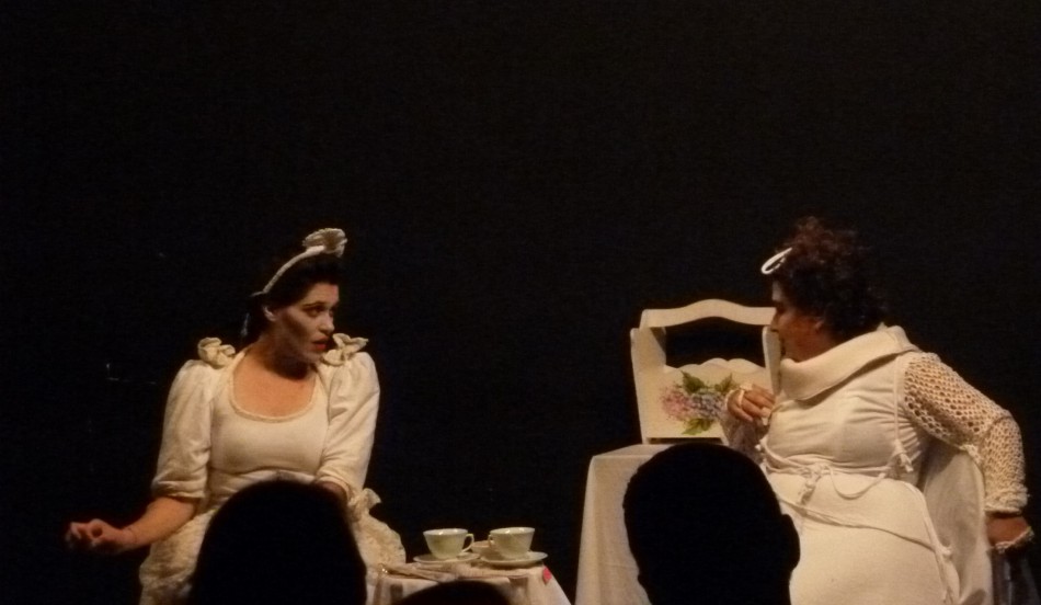 Temporada Blumenauense de Teatro apresenta As Vizinhas de Nelson
