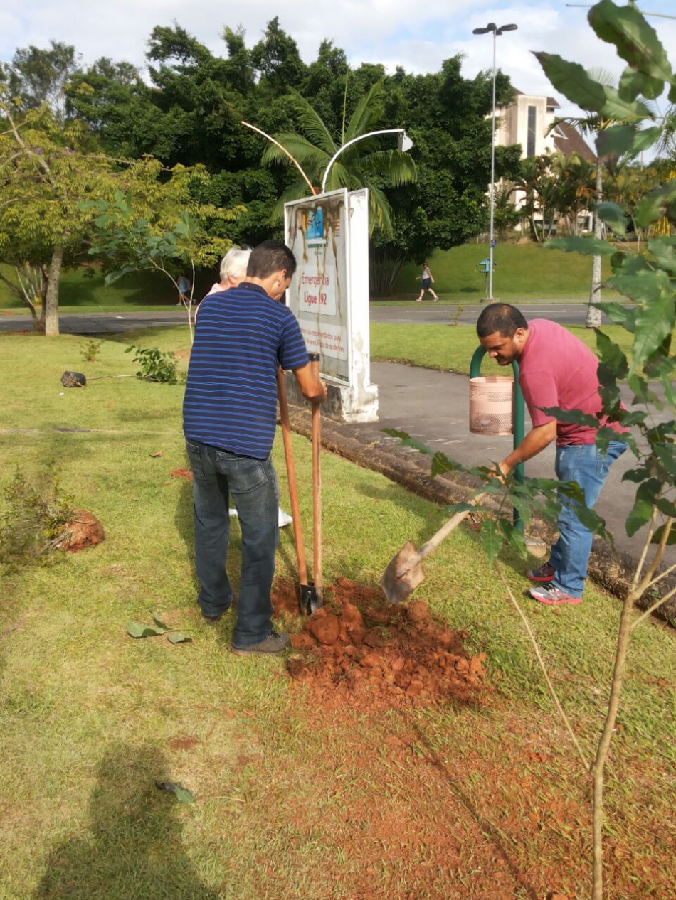 Parque Ramiro Ruediger ganha plantio de mudas de árvores
