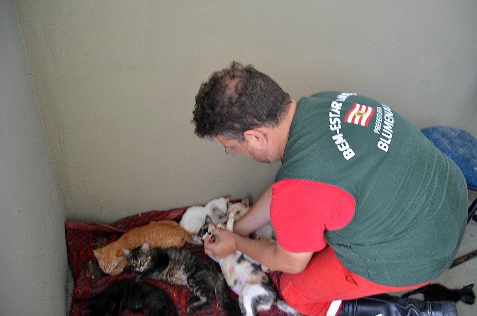 Bem Estar Animal atende 262 animais em abril