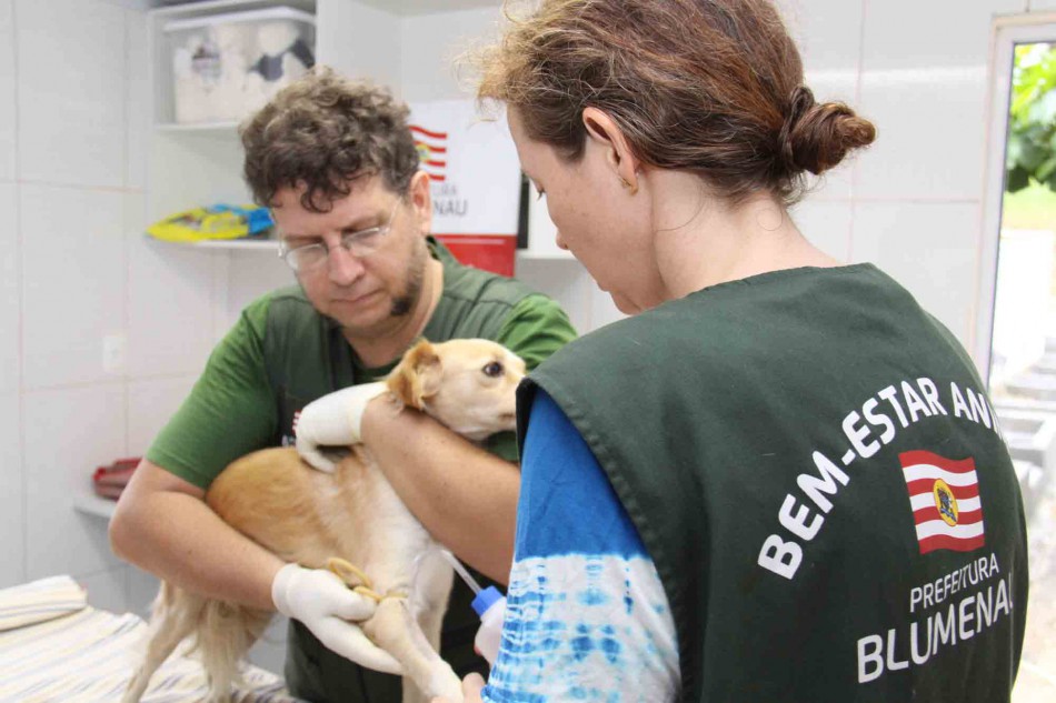 Bem Estar Animal fecha março com 164 animais atendidos