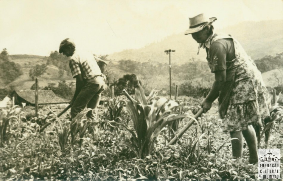 Memória Digital: agricultura