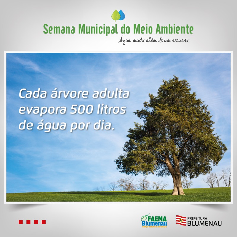 Semana Municipal do Meio Ambiente já tem programação definida