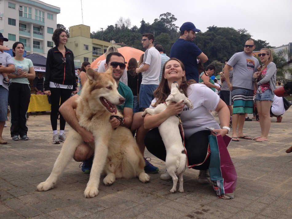 Mais de 2 mil cães participam da Cãominhada em Blumenau