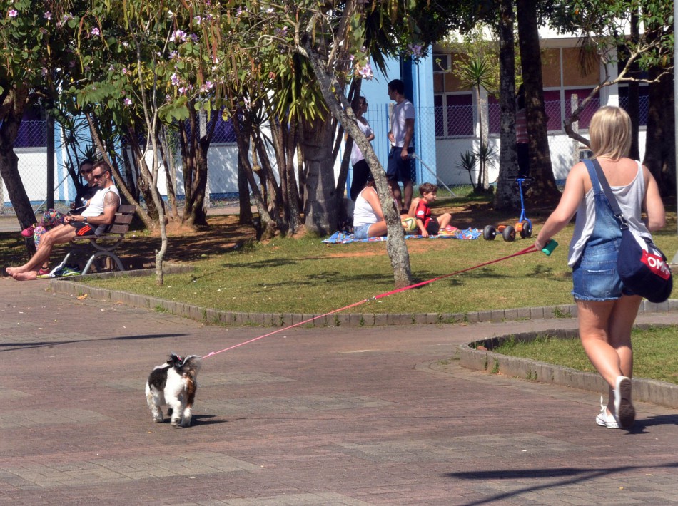 Cão no Parque tem 87% de aprovação da comunidade