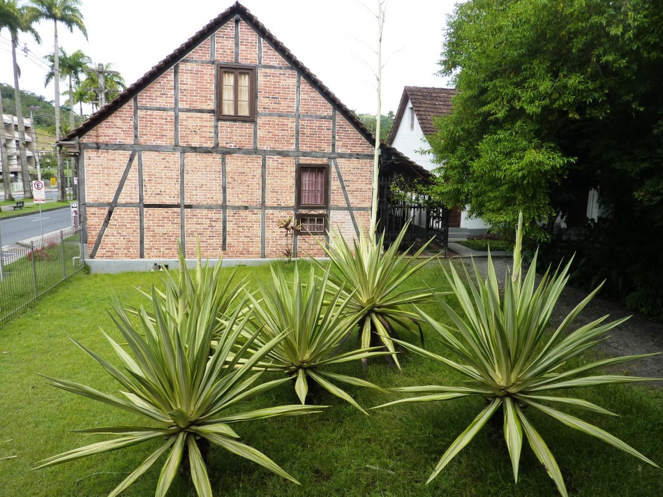 Museus com entrada gratuita para o público no feriado