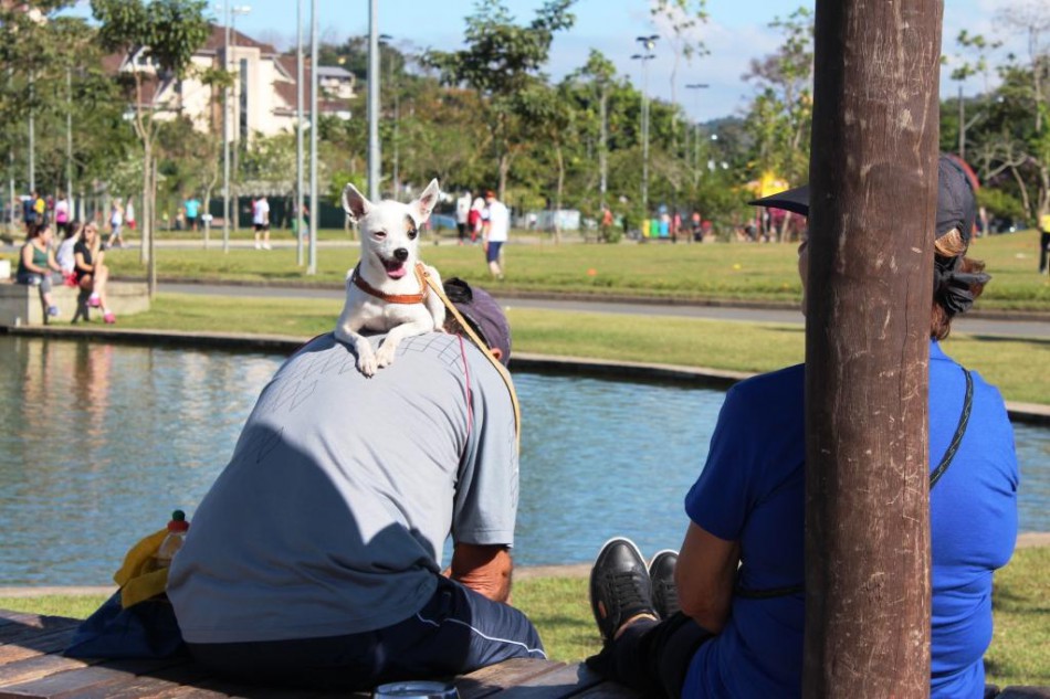 Segunda edição do Cão no Parque será neste fim de semana