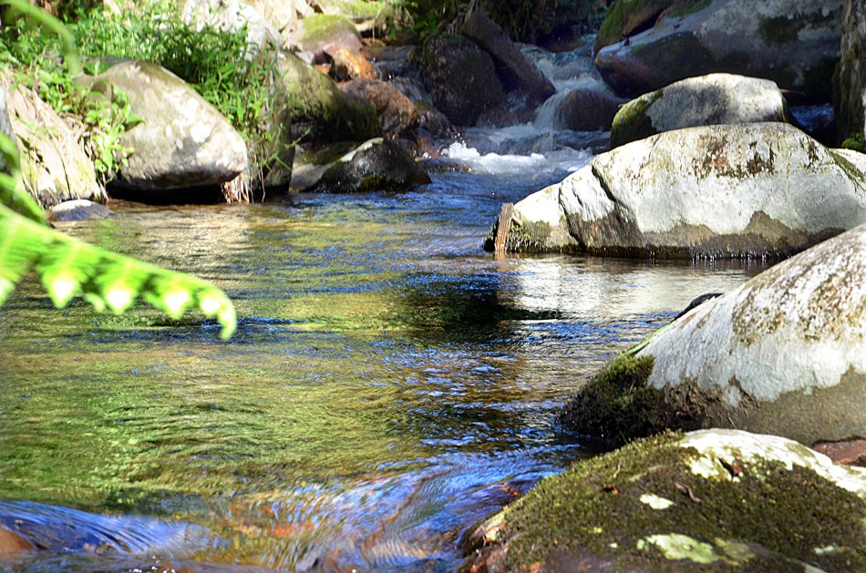 Dia do Turismo Ecológico evidencia belezas de Blumenau