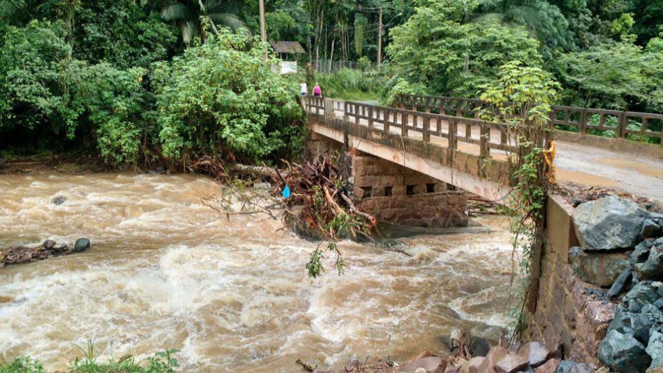 Sesur realiza remoção de árvores em ribeirão na rua Santa Maria 