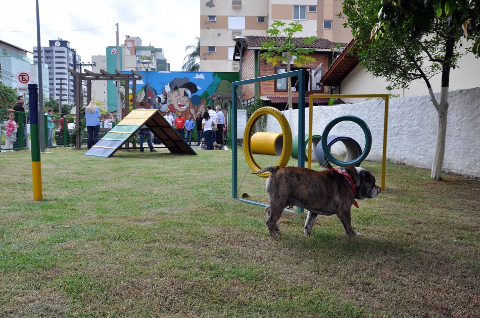 Pet place é realidade para os animais de estimação em Blumenau