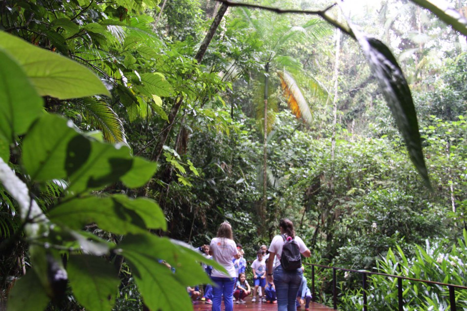 Parque São Francisco de Assis reabre nesta terça-feira