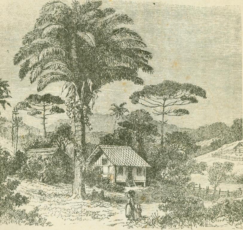 Memória Digital: Viajantes no Sul no Brasil no século XIX
