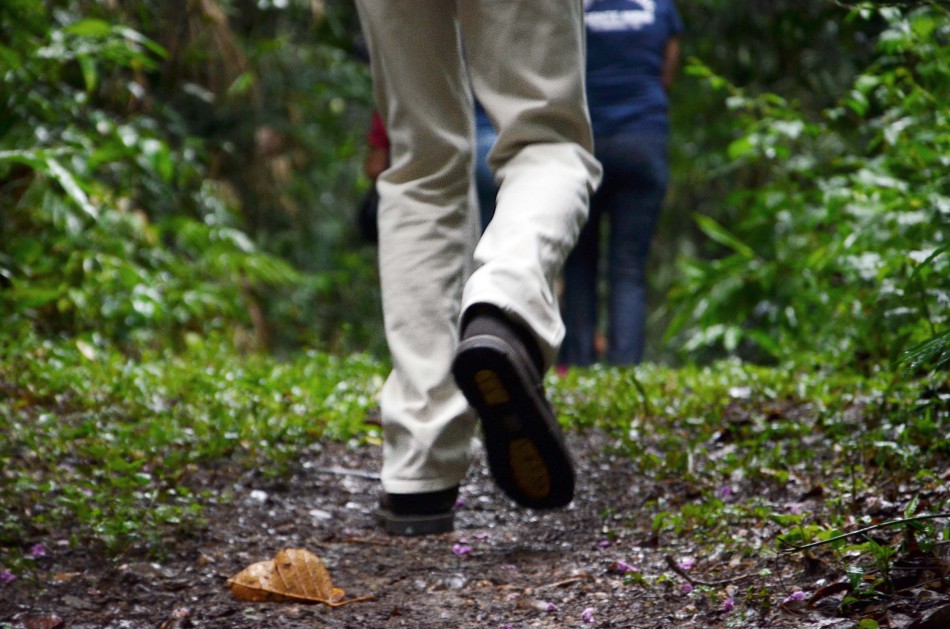 Dia 3 de junho tem caminhada no Parque São Francisco