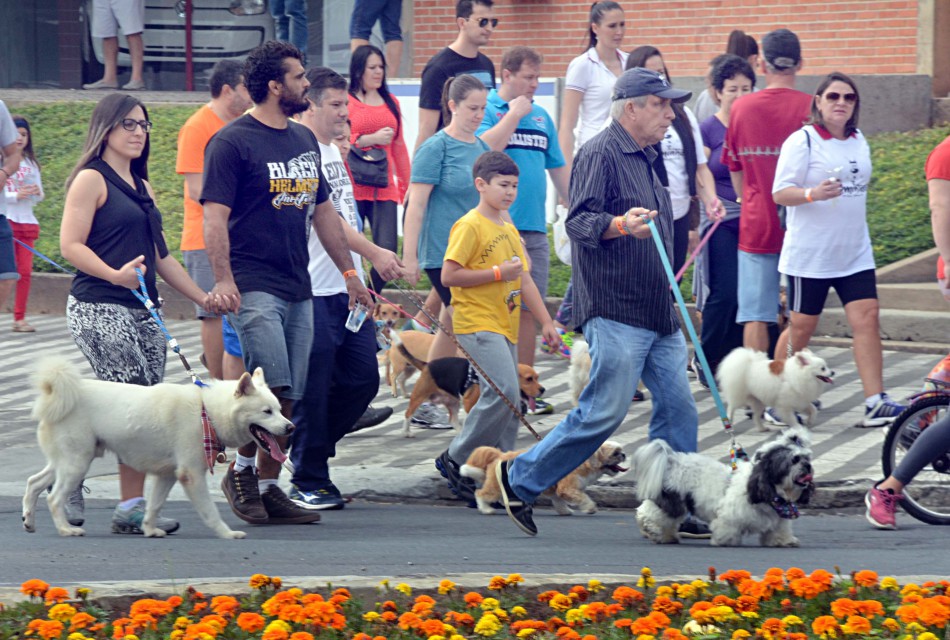 Cãominhada será realizada neste domingo