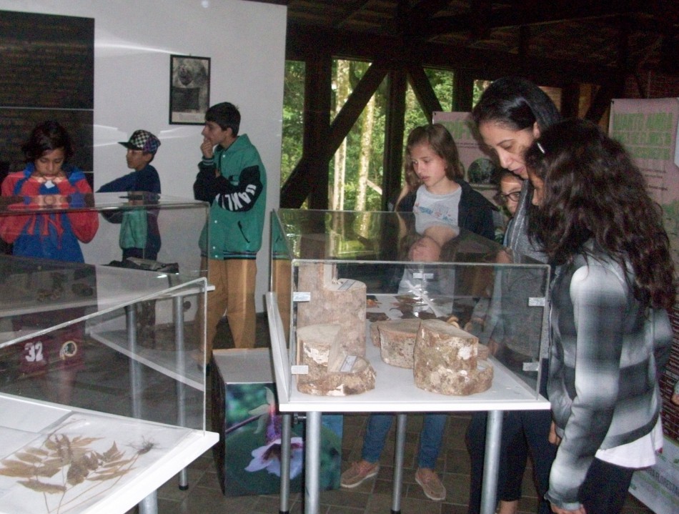 Estudantes participam de exposição ambiental