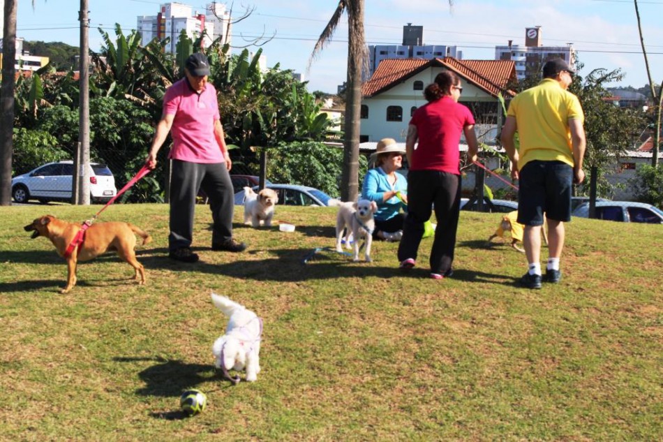 Cão no Parque e Fenahabit são os destaques para o fim de semana 