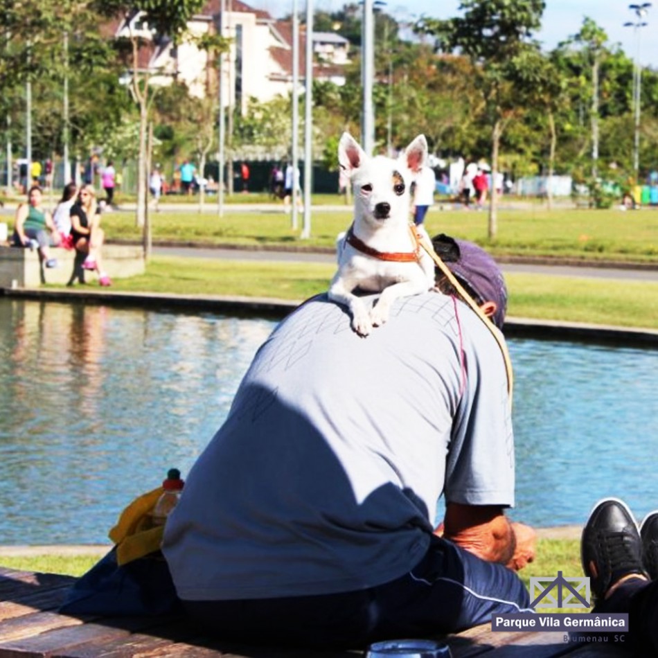 Parque Ramiro e Vila Germânica recebem cães no fim de semana