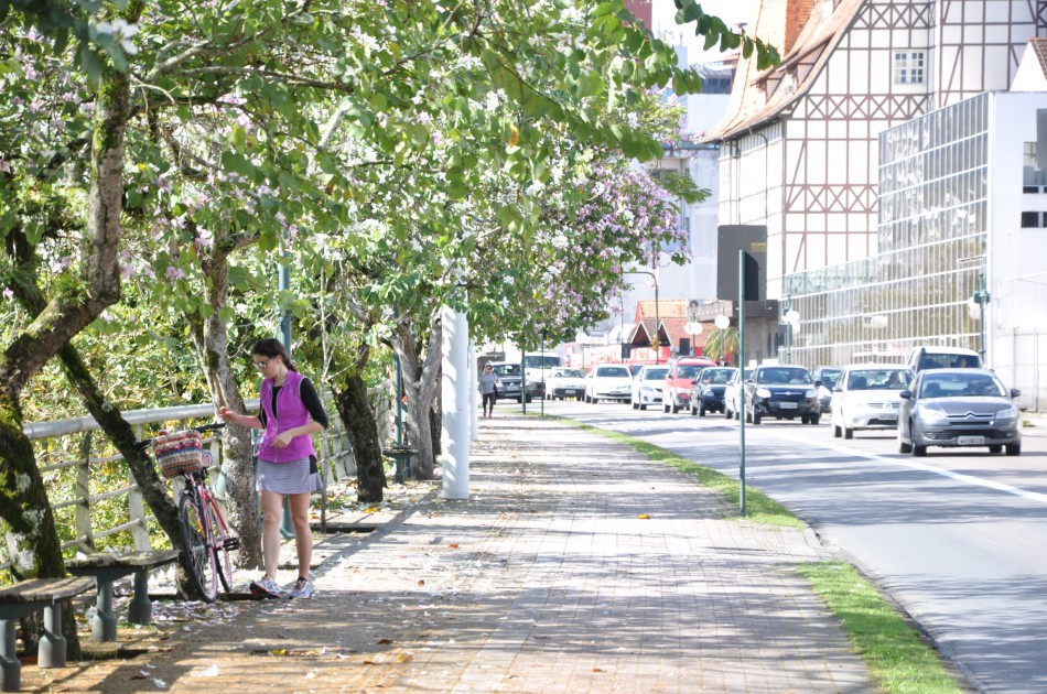 Faema e Seurb firmam parceria para melhorar a arborização da cidade