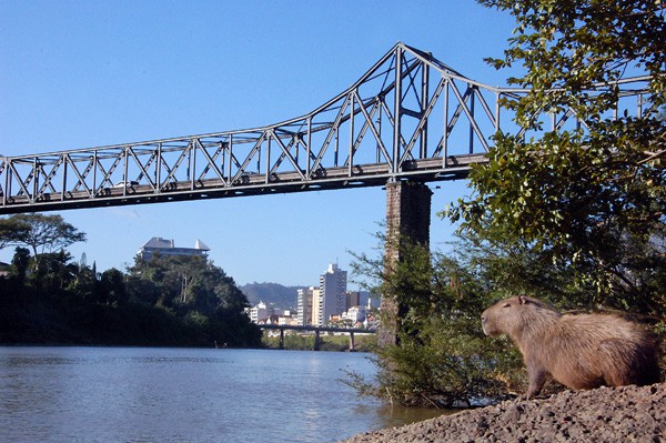 Prefeitura fará manutenção na Ponte de Ferro nesta quarta-feira