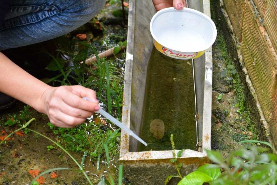 Prefeitura promove ações educativas para enfrentamento ao Aedes aegypti