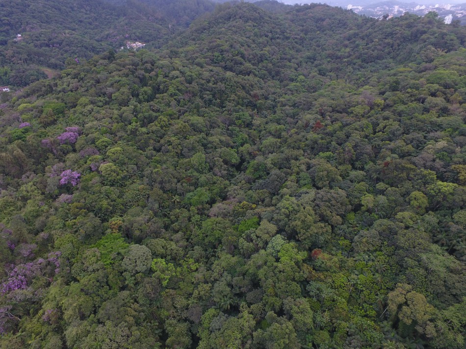 Faema divulga fotos aéreas do Parque São Francisco de Assis