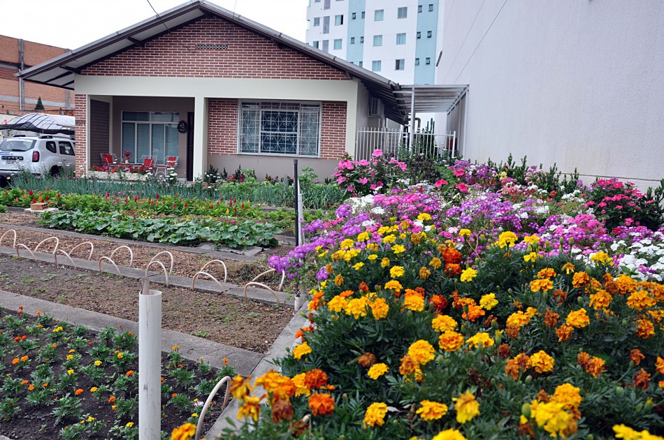 Vencedor do Concurso de Jardins recebe prêmio nesta quinta-feira