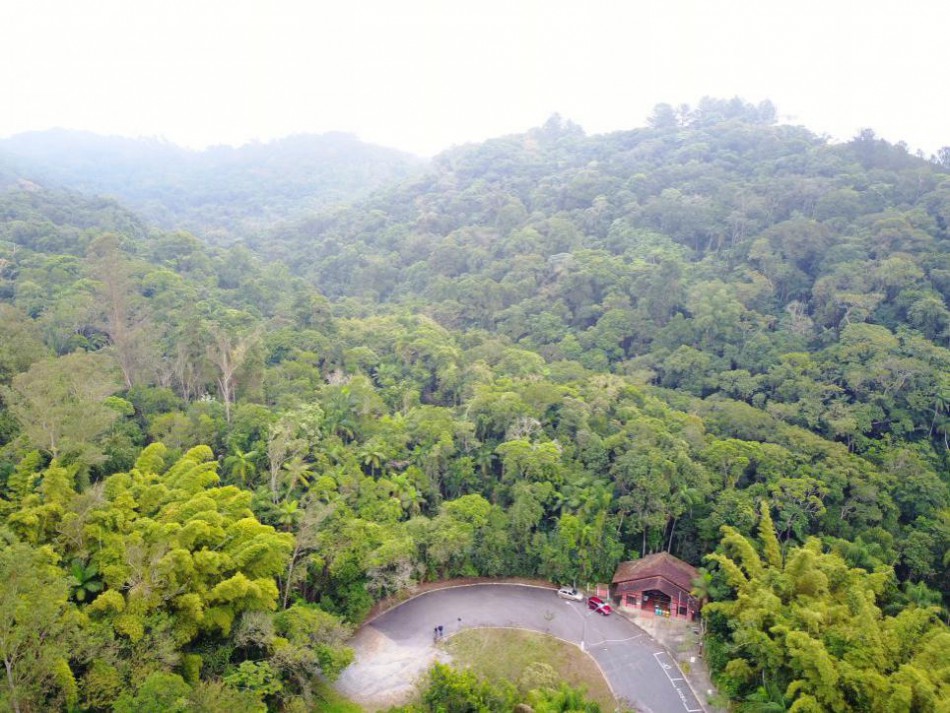 Meio Ambiente apresentará propostas para conservar a Mata Atlântica