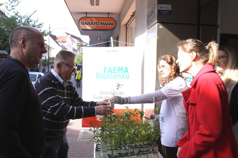 Faema distribui mudas de árvores nesta quinta-feira