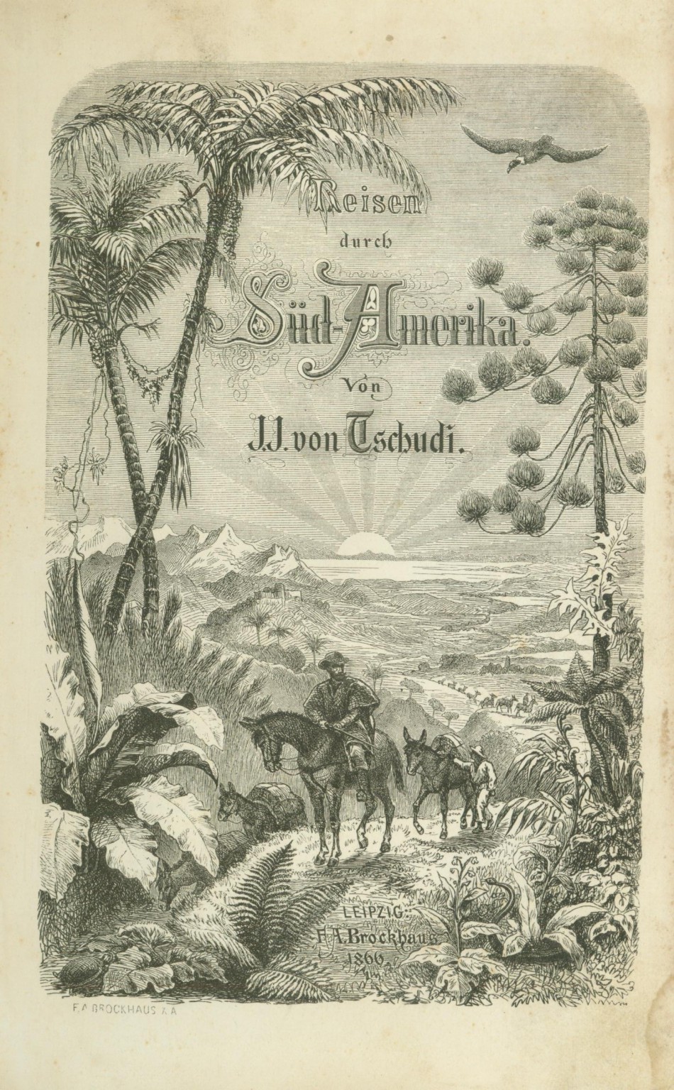 Memória Digital: História de Blumenau
