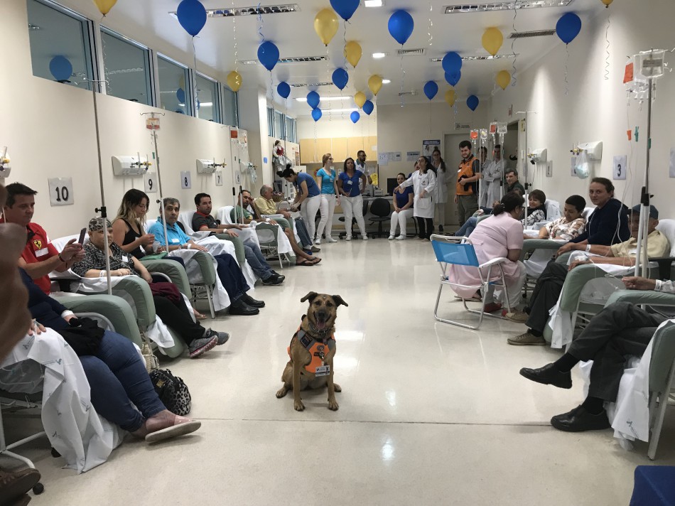 Mascote Mayla vai visitar ala de quimioterapia do Hospital Santo Antônio
